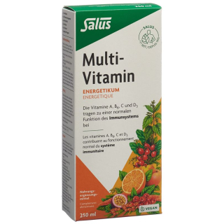SALUS Multi-Vitamin Energetic