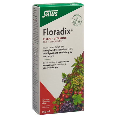 Floradix eisen + វីតាមីន fl 250 មីលីលីត្រ