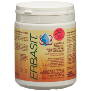 ERBASIT sal mineral Plv sin lactosa con inulina 600 g
