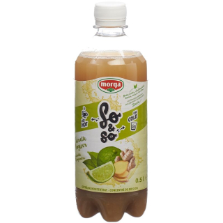 so&so Lime Ginger Conc with Stevia Fl 5 dl