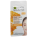 Garnier SkinActive Sachet Mask Repairing Honey 8 ml