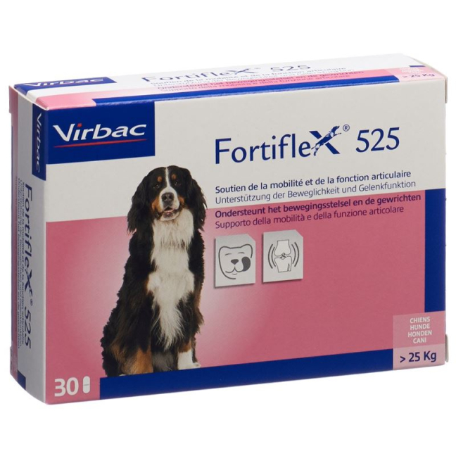 Fortiflex Tabl 525 mg Blist 30 pcs