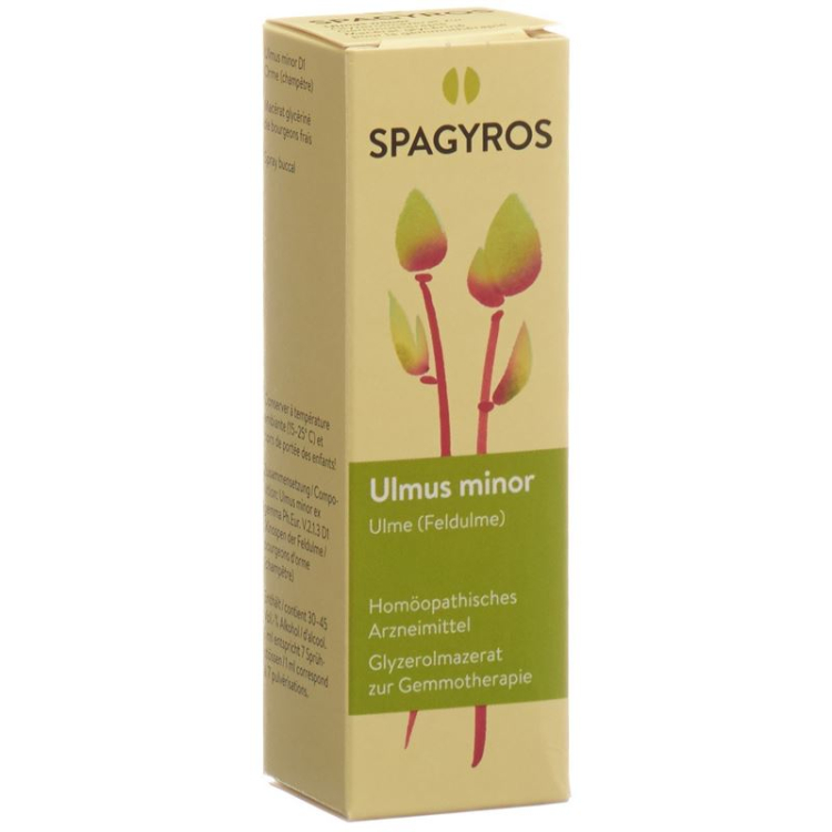 SPAGYROS GEMMO Ulmus អនីតិជន Glyc Maz D ១