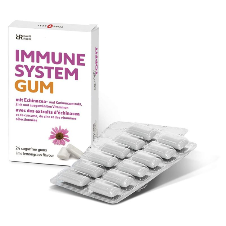 R & R IMMUNE SYSTEM Gum 10 x 24 pcs