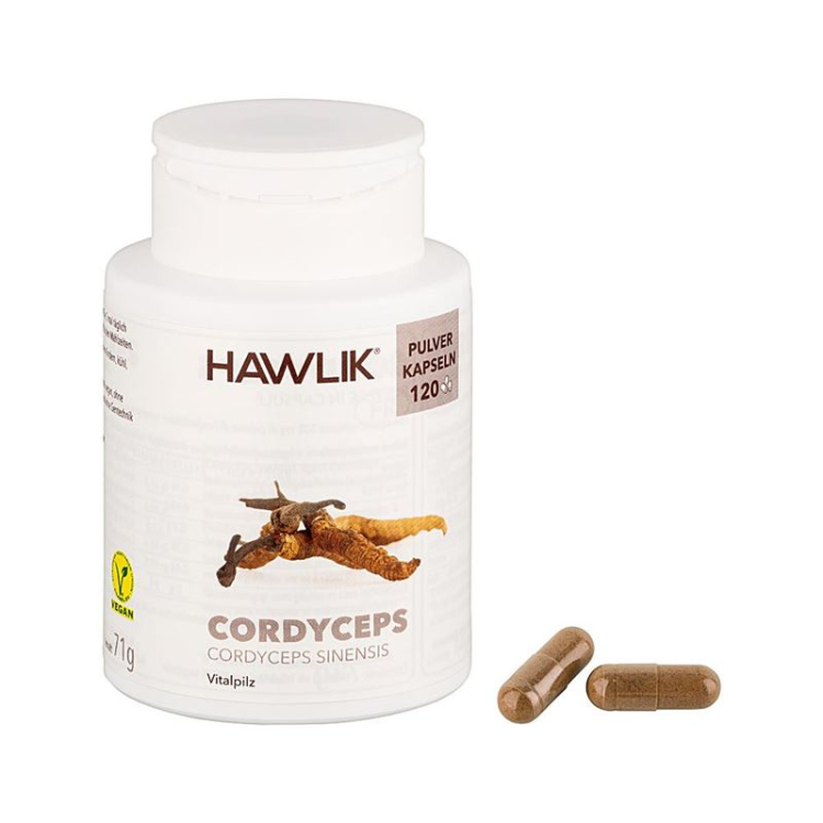 Hawlik Cordyceps powder capsules 120 pcs