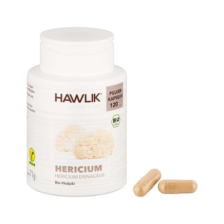Hawlik Hericium powder capsules 500 pcs