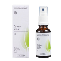 PHYTOMED GEMMO Carpinus betulus liq D 1 Spr 30 ml