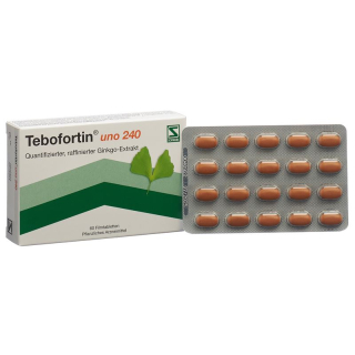 TEBOFORTIN uno film tabl 240 mg (new)