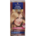 POLYCOLOR Creme Haarfarbe 31 hellblond