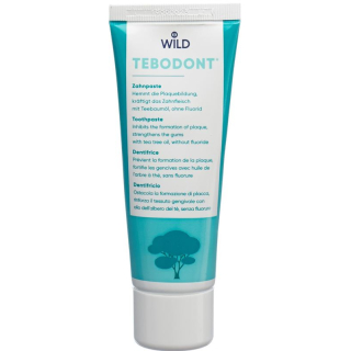 TEBODONT TOOTHPASTE WITHOUT FLUORIDE 75 ML