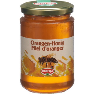 MORGA orange honningkrukke 500 g