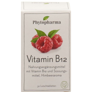 PHYTOPHARMA VITAMIN B12 LUTSCHTABL DS 30