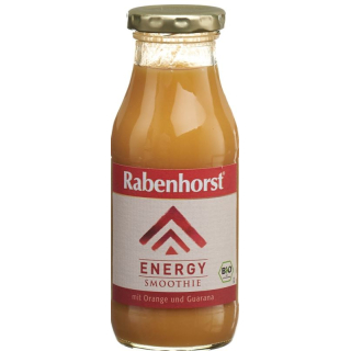 Rabenhorst Energy Smoothie Organic Bottle 240 ml