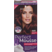 Perfect Mousse 586 Mahogany Brown