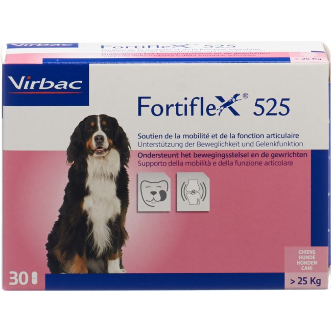 Fortiflex tablets 525 mg Blist 30 pcs