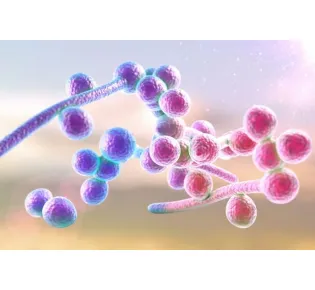 Vaginal Candidiasis (Thrush)