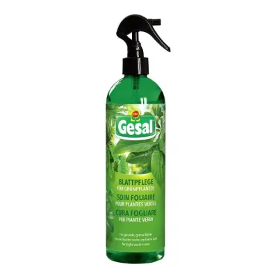 GESAL叶片护理500毫升的绿色植物