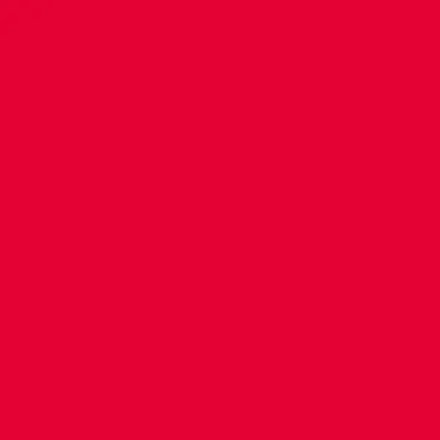 Cubierta de cojín de Elsa 50x11cm Velor rojo