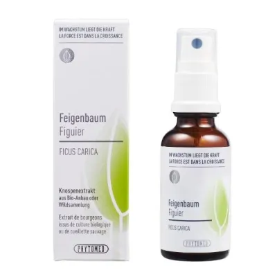 PHYTOMED Bud Extract Fig Tree Spray 30 ml