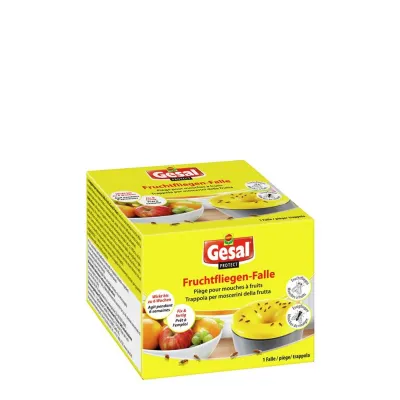 GESAL PROTECT Fruchtfliegen-Falle