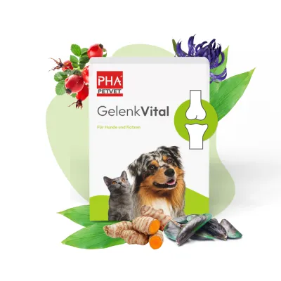 PHA JointVital Powder 150 g