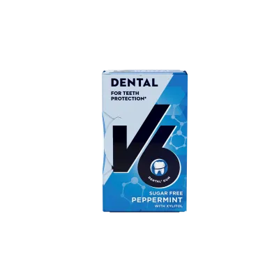 V6 Chewing Gum Peppermint 10 Pcs
