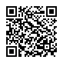 QR HOLLE Früchte-Gemüseriegel Apf Karot Bio