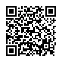 QR PURESSENTIEL Weihnachtsbox Diffusor 10ml gratis