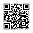 QR Deo Stick Minze 50ml