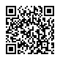 QR Stomacine Solvent 500 ml