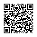 QR Очиститель форсунок Pari LL