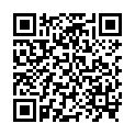 QR ASSURA ILEO 1T 10-55 미니 HF