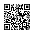 QR Mona Lisa Cu375 spiraaltje