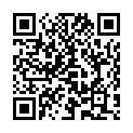 QR 하이네 XHL 할로겐 램프 2.5V X-001.88.038