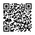 QR BORT STABILO COL ELBDE 4CMX5M