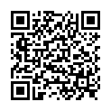 QR BORT STABILO COL ELBDE 4CMX5M