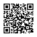 QR BORT STABILO COL ELBDE 6CMX5M