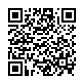 QR ŠT SOLIDAGO VIRGA AUREA 6C