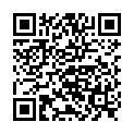 QR КОРИЧНЕВИЙ ЗАМОК LEIT 16CH 25CM