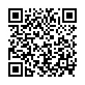 QR WERO SOLIFIX 26 TIRANT COURT5MX10CM