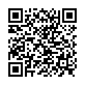 QR VASOCAN 갈색 막대 1.1X33MM