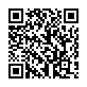 QR ЧУЛКИ VENOFIT 100 A-T G