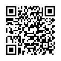 QR WELCH ALLYN TRAKA LUMIV