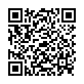 QR Bacillol AF dezinfeksiyalovchi lik Fl 500 ml