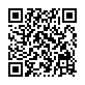 QR 테나 레이디 노멀 24개입