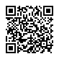 QR Original Bach Flower Centaury No04 20мл