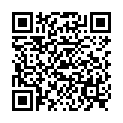 QR SIGV G12 A-D KL2 S INGEN GES HUD