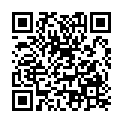 QR BORT TALOSTAB KNOECH XL LI SIL