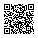 QR VASOFIX 안전 FEP 22G 블루