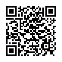 QR KỆ ĐỊNH VỊ BORT VOLARE M